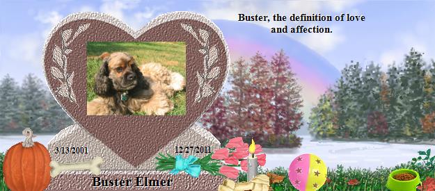 Buster Elmer's Rainbow Bridge Pet Loss Memorial Residency Image