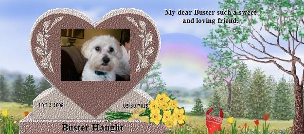 Buster Haught's Rainbow Bridge Pet Loss Memorial Residency Image