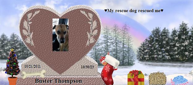 Buster Thompson's Rainbow Bridge Pet Loss Memorial Residency Image