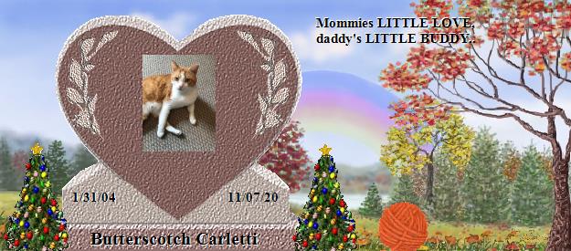 Butterscotch Carletti's Rainbow Bridge Pet Loss Memorial Residency Image