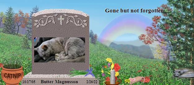 Butter Magnusson's Rainbow Bridge Pet Loss Memorial Residency Image
