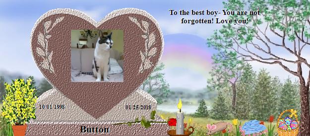 Button's Rainbow Bridge Pet Loss Memorial Residency Image