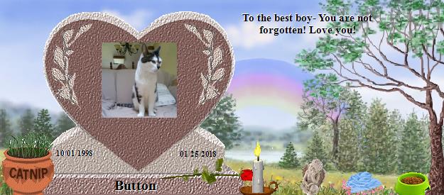 Button's Rainbow Bridge Pet Loss Memorial Residency Image