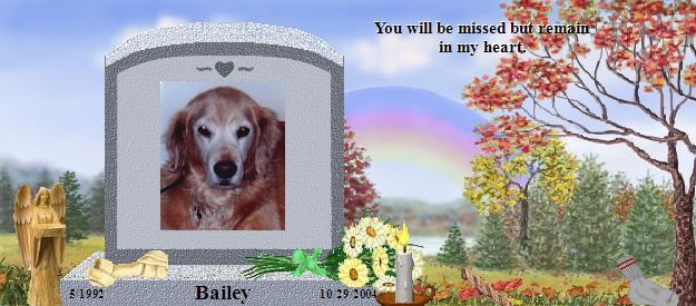 Bailey's Rainbow Bridge Pet Loss Memorial Residency Image