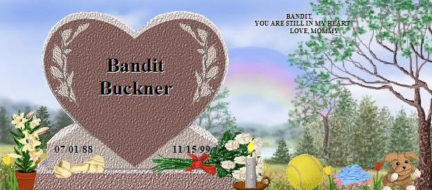 Bandit Buckner's Rainbow Bridge Pet Loss Memorial Residency Image