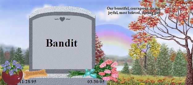 Bandit's Rainbow Bridge Pet Loss Memorial Residency Image