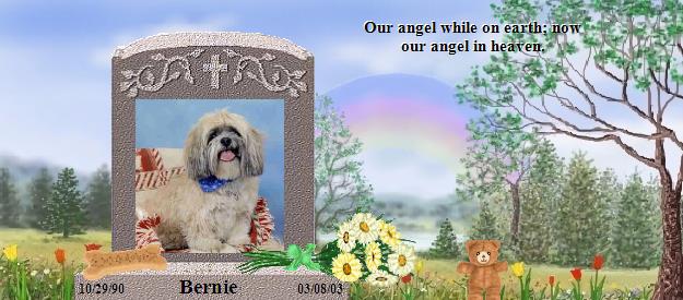 Bernie's Rainbow Bridge Pet Loss Memorial Residency Image