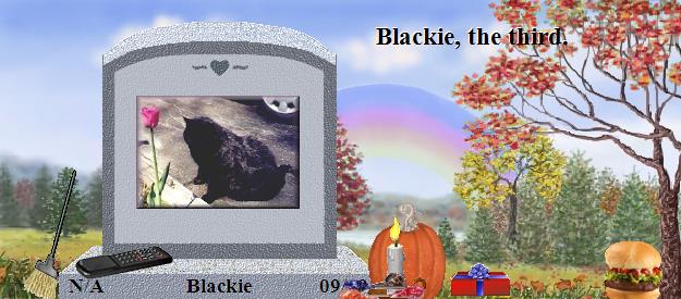 Blackie's Rainbow Bridge Pet Loss Memorial Residency Image