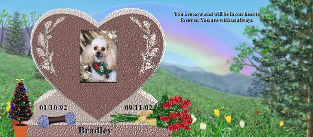 Bradley's Rainbow Bridge Pet Loss Memorial Residency Image