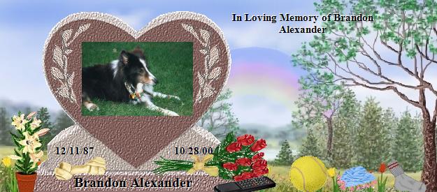 Brandon Alexander's Rainbow Bridge Pet Loss Memorial Residency Image