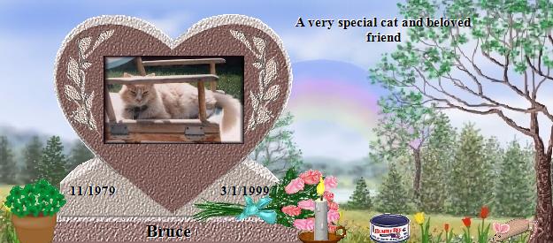 Bruce's Rainbow Bridge Pet Loss Memorial Residency Image