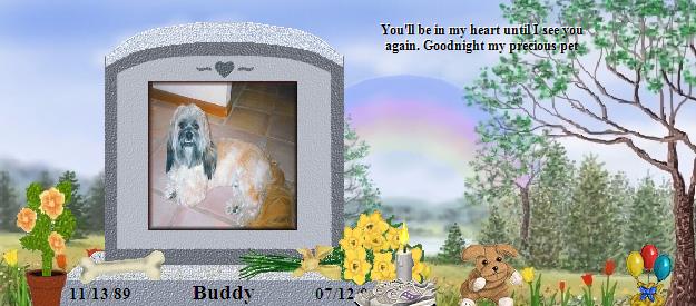 Buddy's Rainbow Bridge Pet Loss Memorial Residency Image