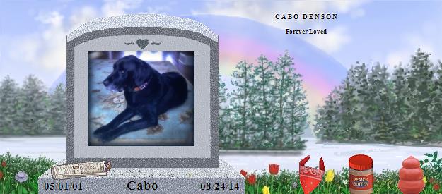 Cabo's Rainbow Bridge Pet Loss Memorial Residency Image
