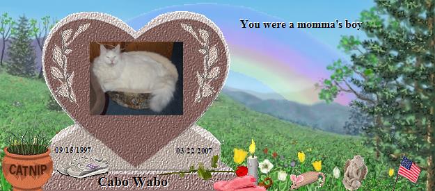 Cabo Wabo's Rainbow Bridge Pet Loss Memorial Residency Image