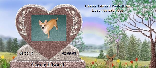 Caesar Edward's Rainbow Bridge Pet Loss Memorial Residency Image