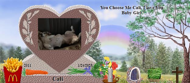 Cali's Rainbow Bridge Pet Loss Memorial Residency Image