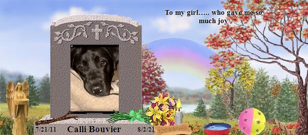 Calli Bouvier's Rainbow Bridge Pet Loss Memorial Residency Image
