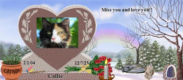 Callie's Rainbow Bridge Pet Loss Memorial Residency Image