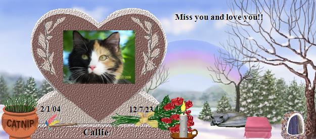 Callie's Rainbow Bridge Pet Loss Memorial Residency Image