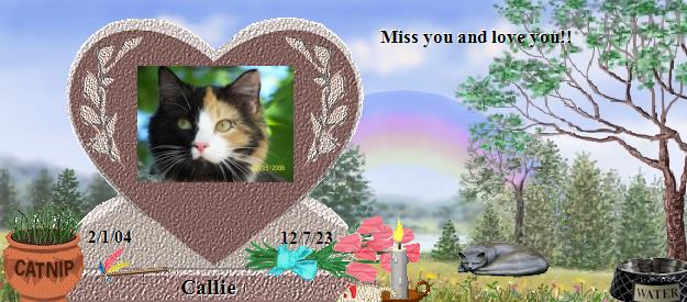 Callie's Rainbow Bridge Pet Loss Memorial Residency Image