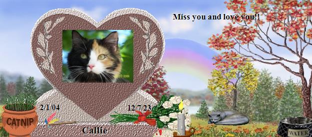 Callie's Rainbow Bridge Pet Loss Memorial Residency Image