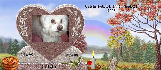 Calvin's Rainbow Bridge Pet Loss Memorial Residency Image