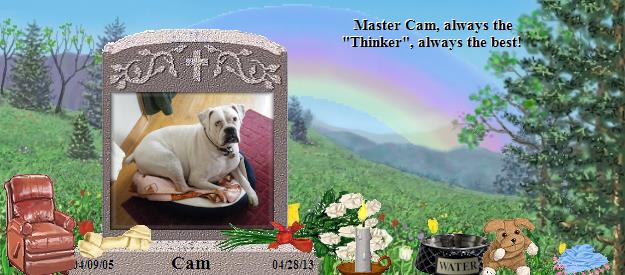 Cam's Rainbow Bridge Pet Loss Memorial Residency Image