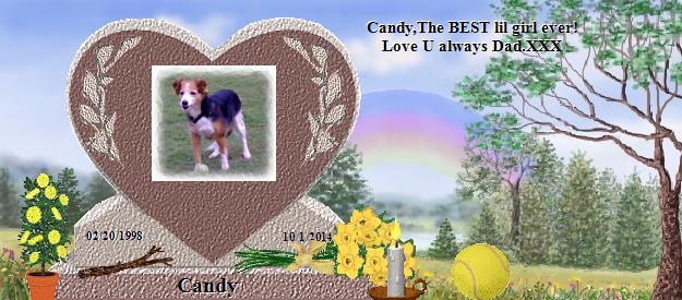 Candy's Rainbow Bridge Pet Loss Memorial Residency Image