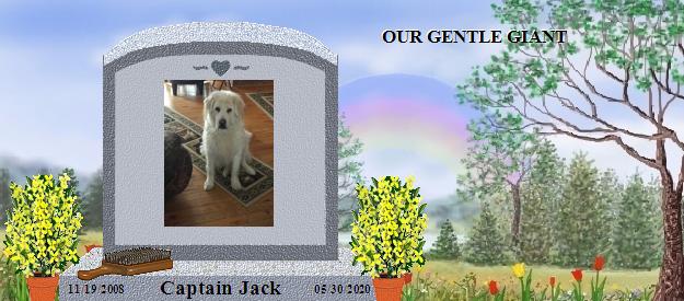 Captain Jack's Rainbow Bridge Pet Loss Memorial Residency Image