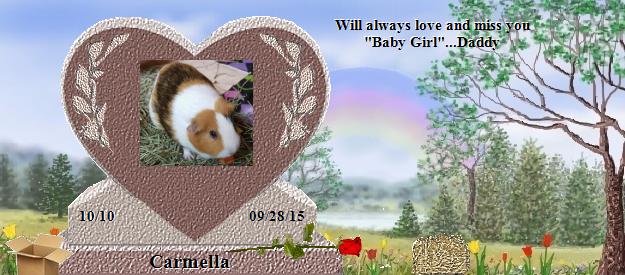 Carmella's Rainbow Bridge Pet Loss Memorial Residency Image