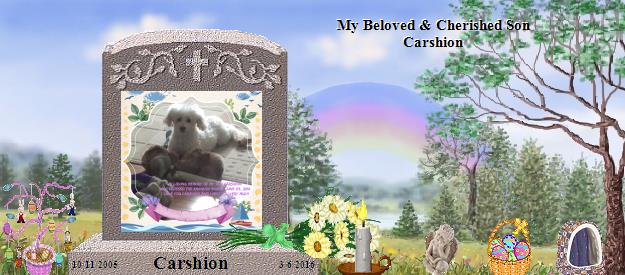 Carshion's Rainbow Bridge Pet Loss Memorial Residency Image