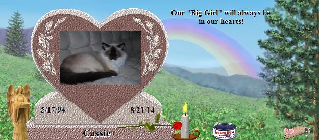 Cassie's Rainbow Bridge Pet Loss Memorial Residency Image