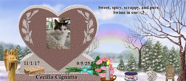 Cecilia Cignatta's Rainbow Bridge Pet Loss Memorial Residency Image