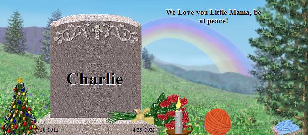 Charlie's Rainbow Bridge Pet Loss Memorial Residency Image