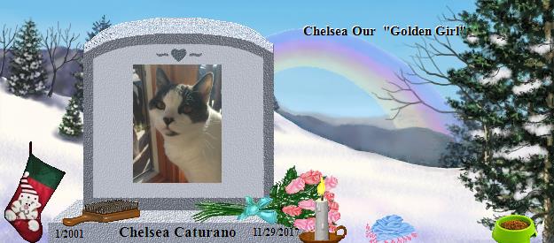 Chelsea Caturano's Rainbow Bridge Pet Loss Memorial Residency Image