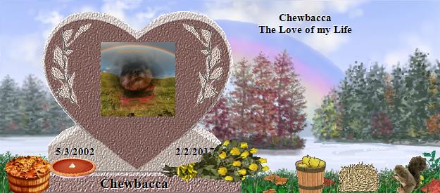 Chewbacca's Rainbow Bridge Pet Loss Memorial Residency Image