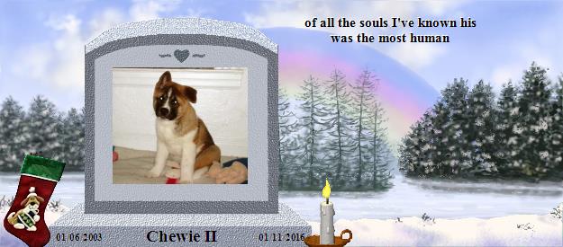 Chewie II's Rainbow Bridge Pet Loss Memorial Residency Image