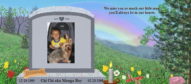 Chi Chi aka Monga Boy's Rainbow Bridge Pet Loss Memorial Residency Image
