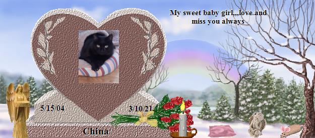 China's Rainbow Bridge Pet Loss Memorial Residency Image