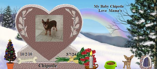 Chipotle's Rainbow Bridge Pet Loss Memorial Residency Image
