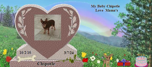 Chipotle's Rainbow Bridge Pet Loss Memorial Residency Image
