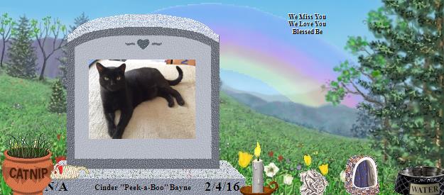 Cinder "Peek-a-Boo" Bayne's Rainbow Bridge Pet Loss Memorial Residency Image