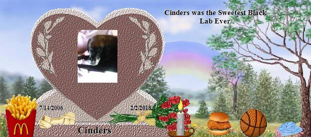 Cinders's Rainbow Bridge Pet Loss Memorial Residency Image