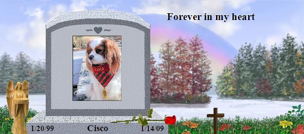 Cisco's Rainbow Bridge Pet Loss Memorial Residency Image