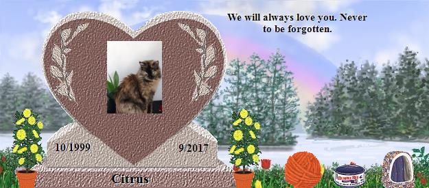 Citrus's Rainbow Bridge Pet Loss Memorial Residency Image