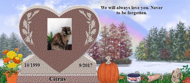 Citrus's Rainbow Bridge Pet Loss Memorial Residency Image