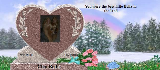 Cleo Bella's Rainbow Bridge Pet Loss Memorial Residency Image