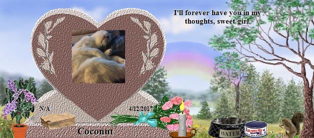 Coconut's Rainbow Bridge Pet Loss Memorial Residency Image