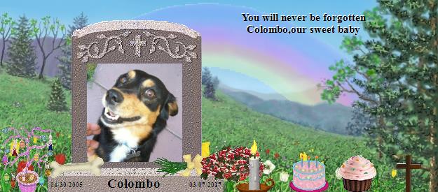 Colombo's Rainbow Bridge Pet Loss Memorial Residency Image