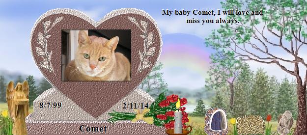 Comet's Rainbow Bridge Pet Loss Memorial Residency Image